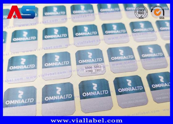 Специальный дизайн Противоподдельная голограмма Наклейка безопасности пустая 3D голограмма